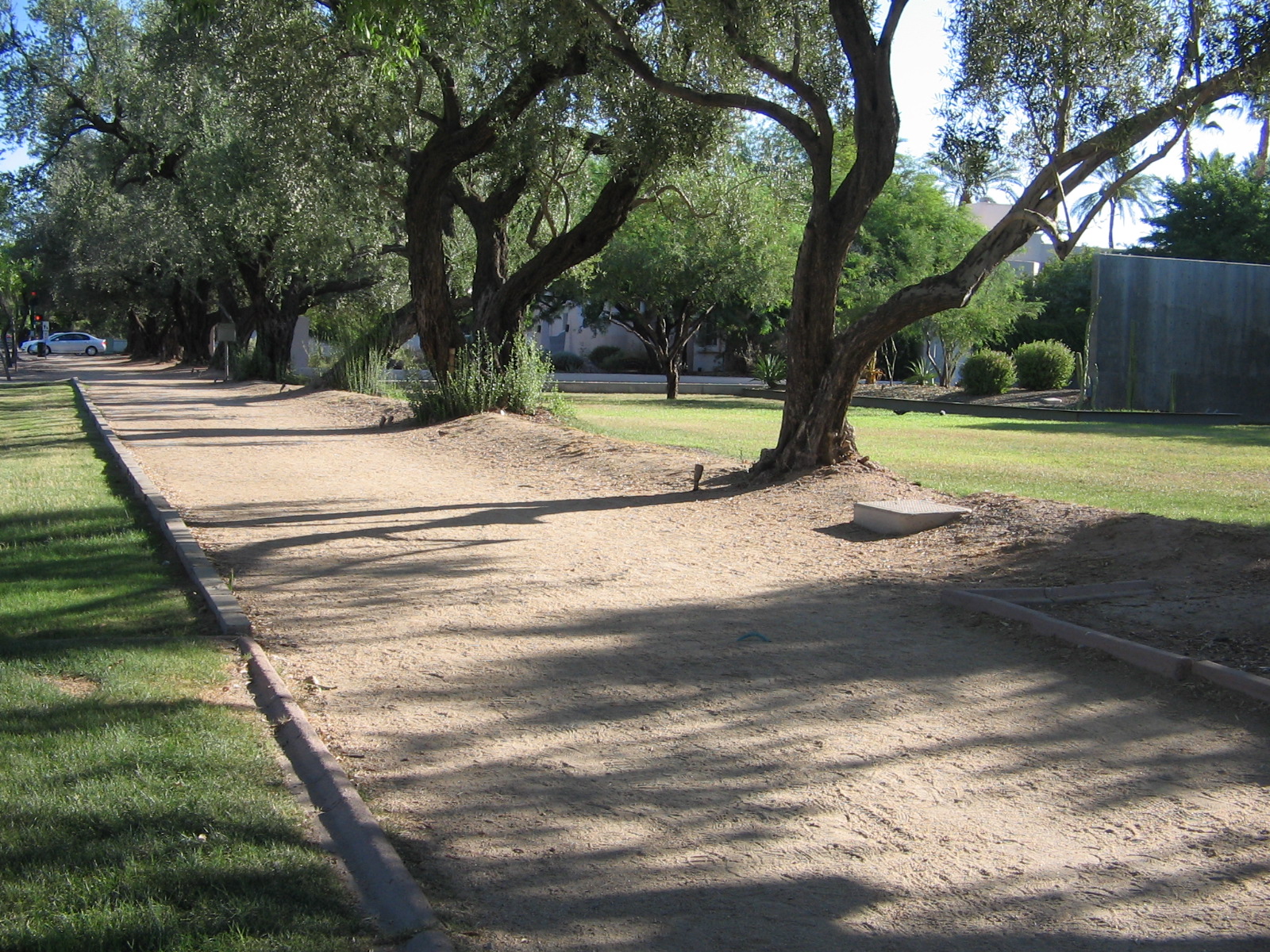 Murphy Bridle Path · Central Avenue